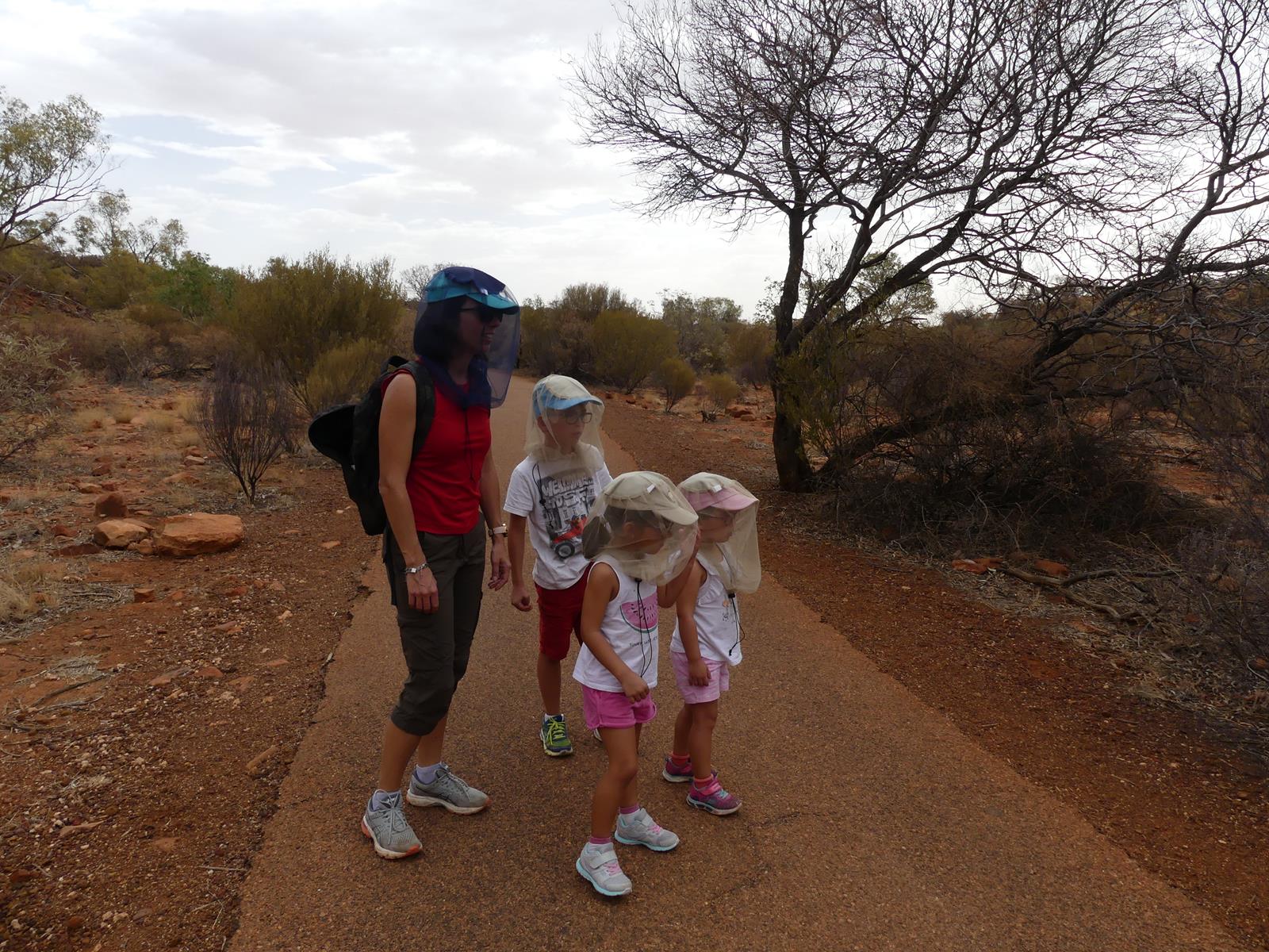 Kings canyon walk