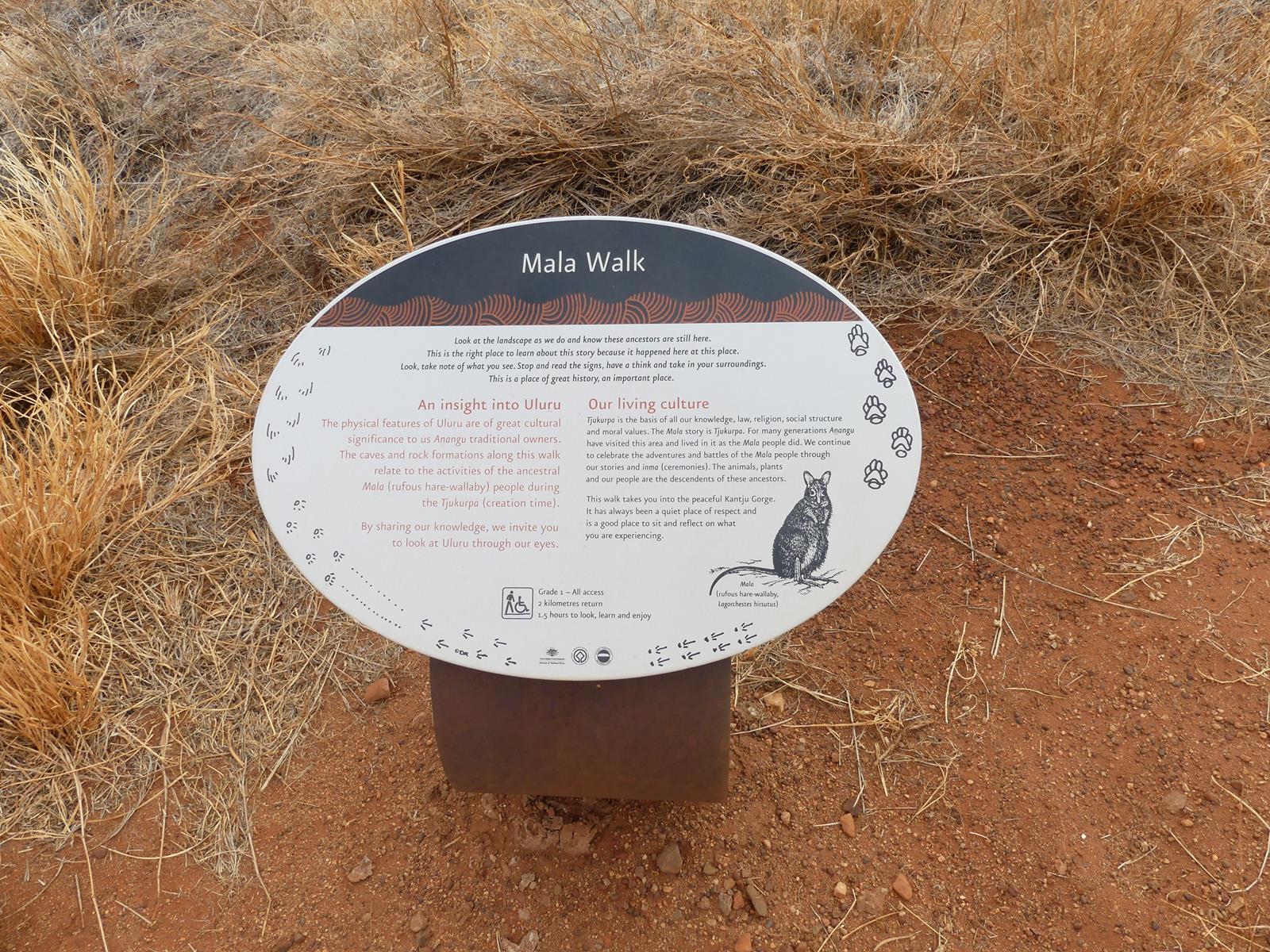 marche autour de Ayers Rock (inselberg de grès)