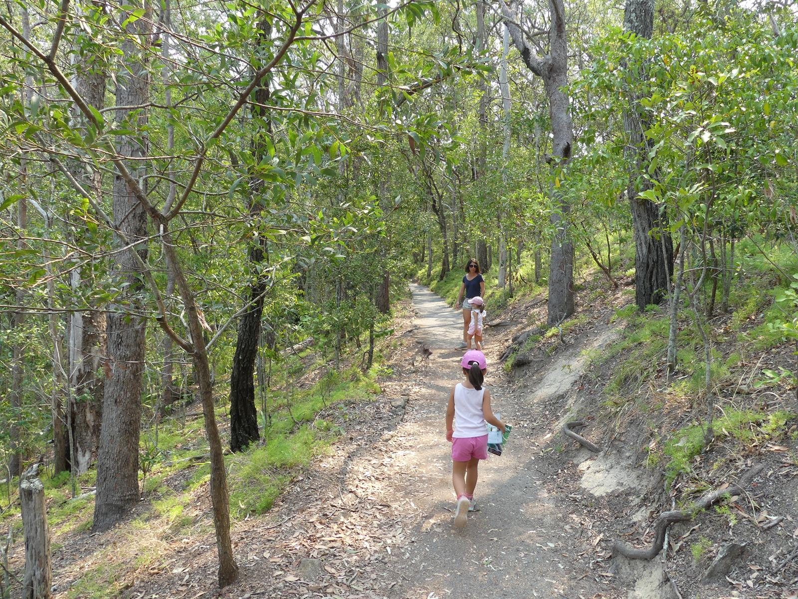 Burleigh Head National park (petite marche)