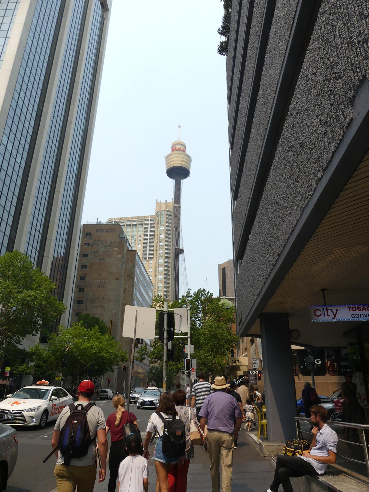 Sydney tower eye (305m)