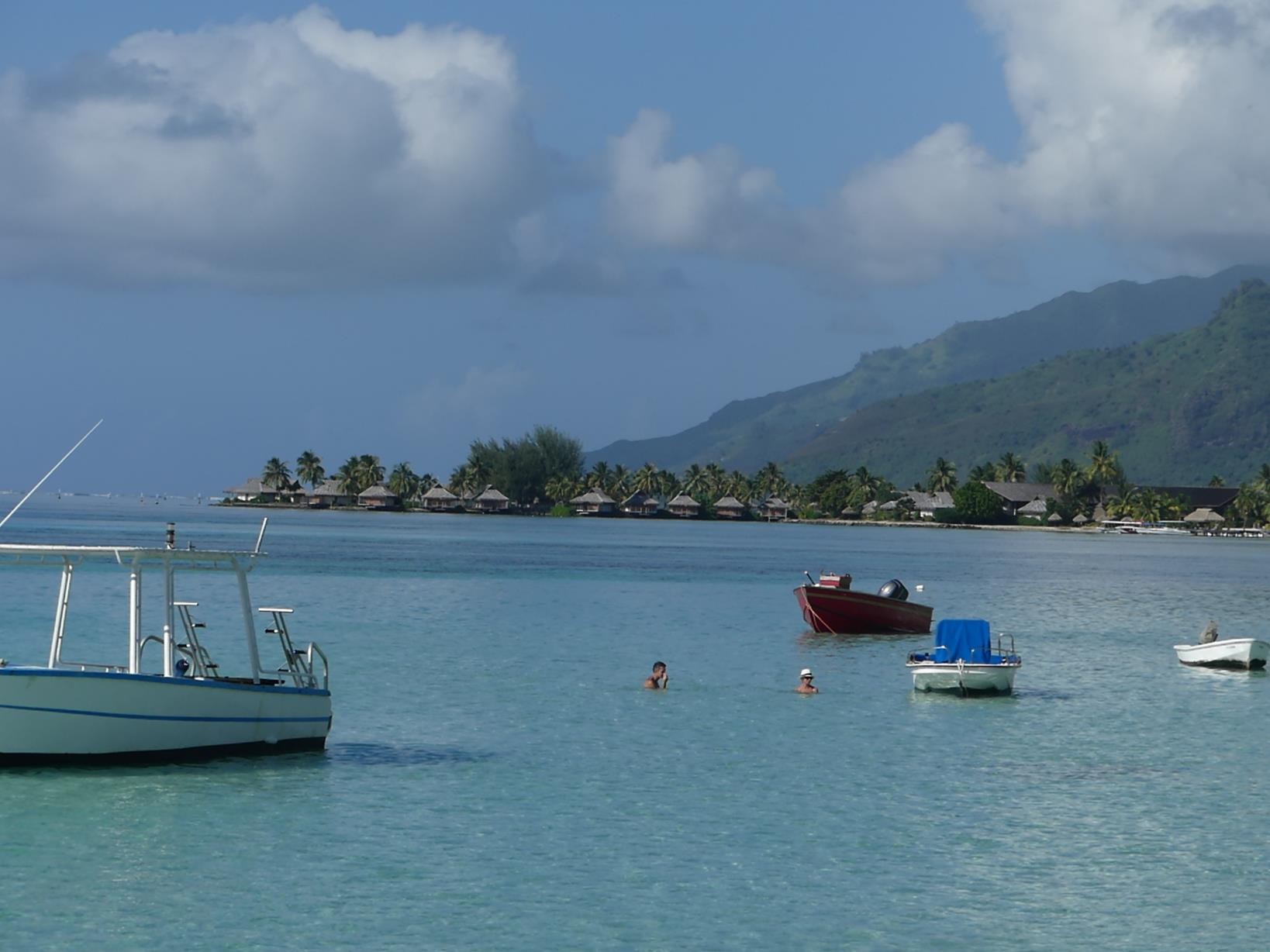 le spot des requins au loin