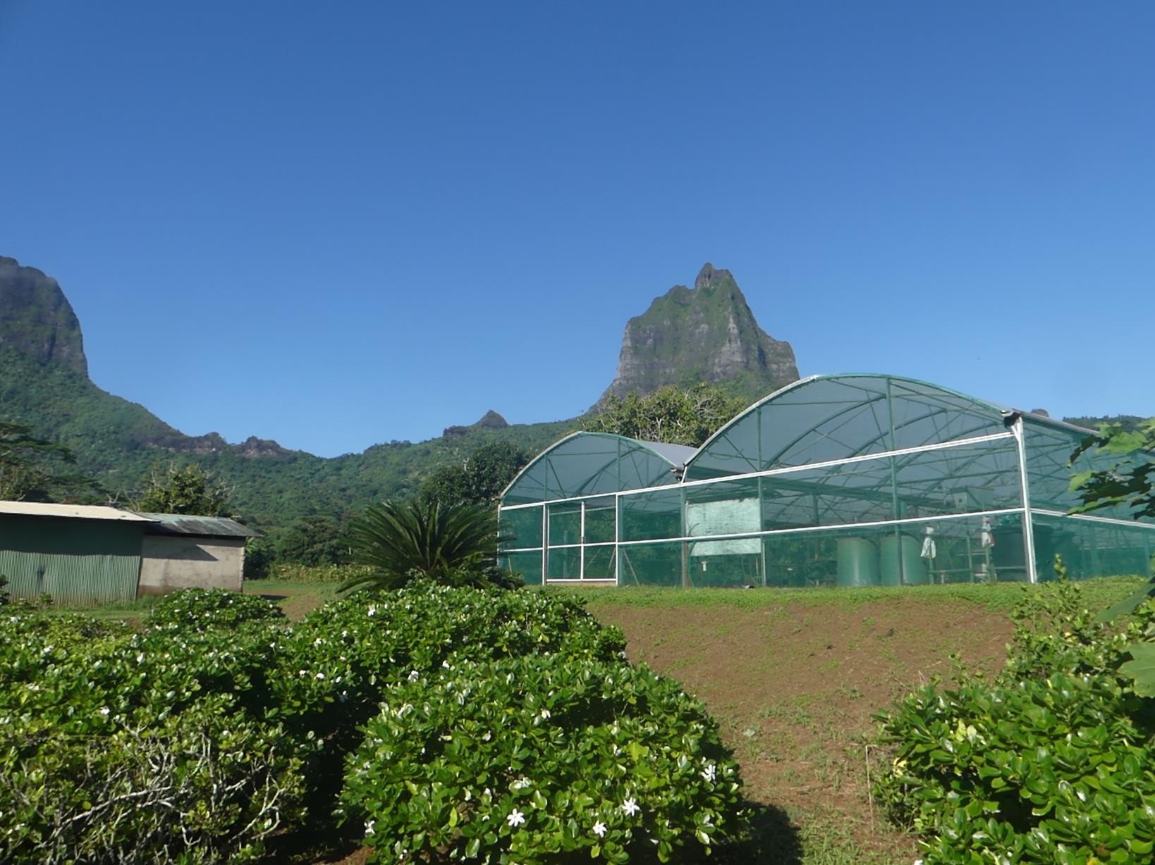 le lycée agricole de Opunohu