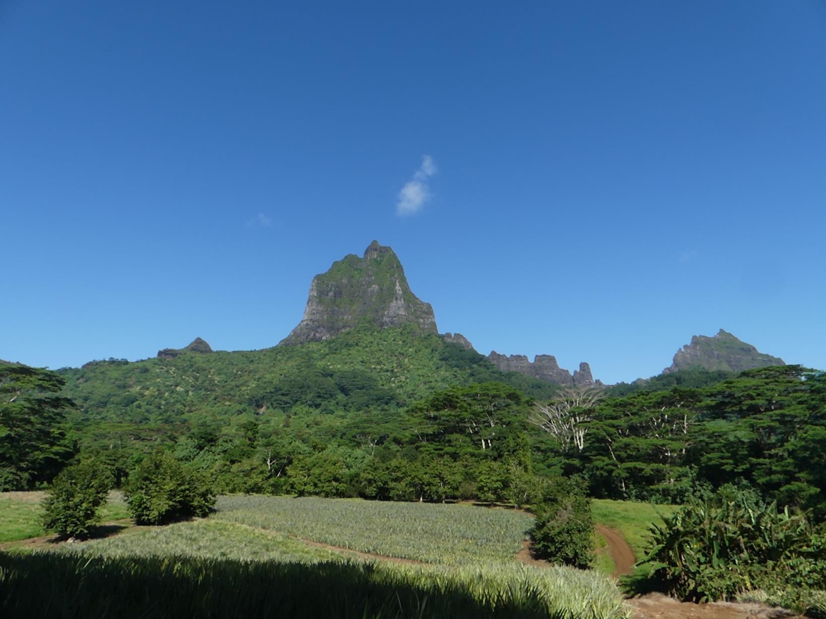 Mont Tohiea (1207m)