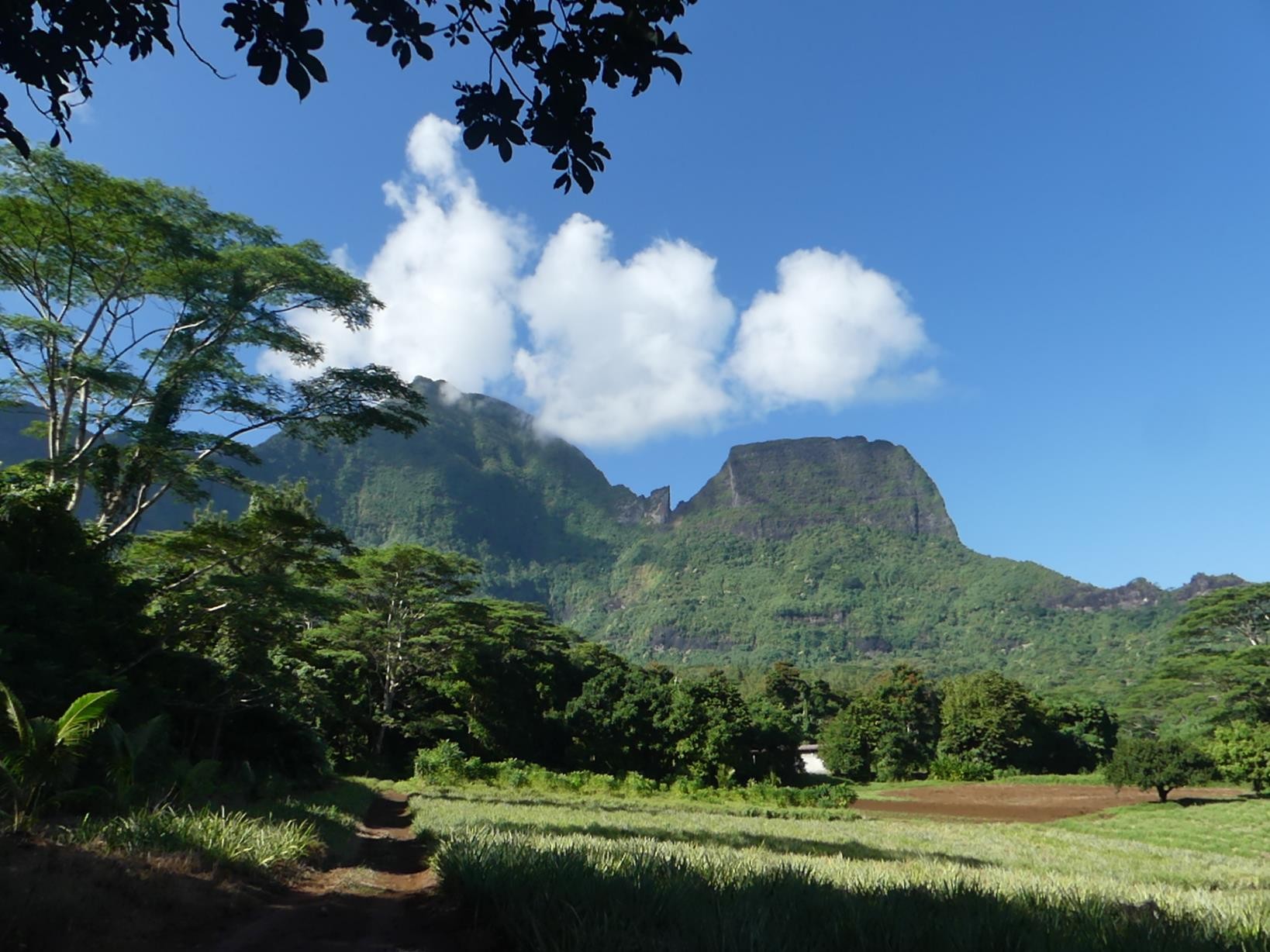 Mont Mouaputa  (830m)