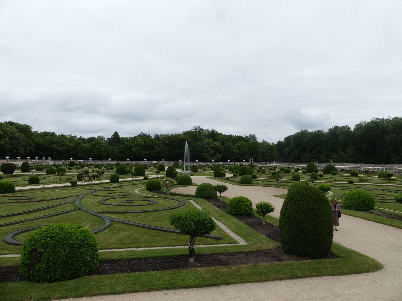 P1080738 1