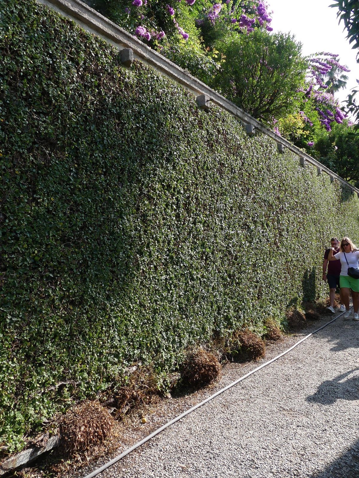 Jardin botanique d'isola Madre