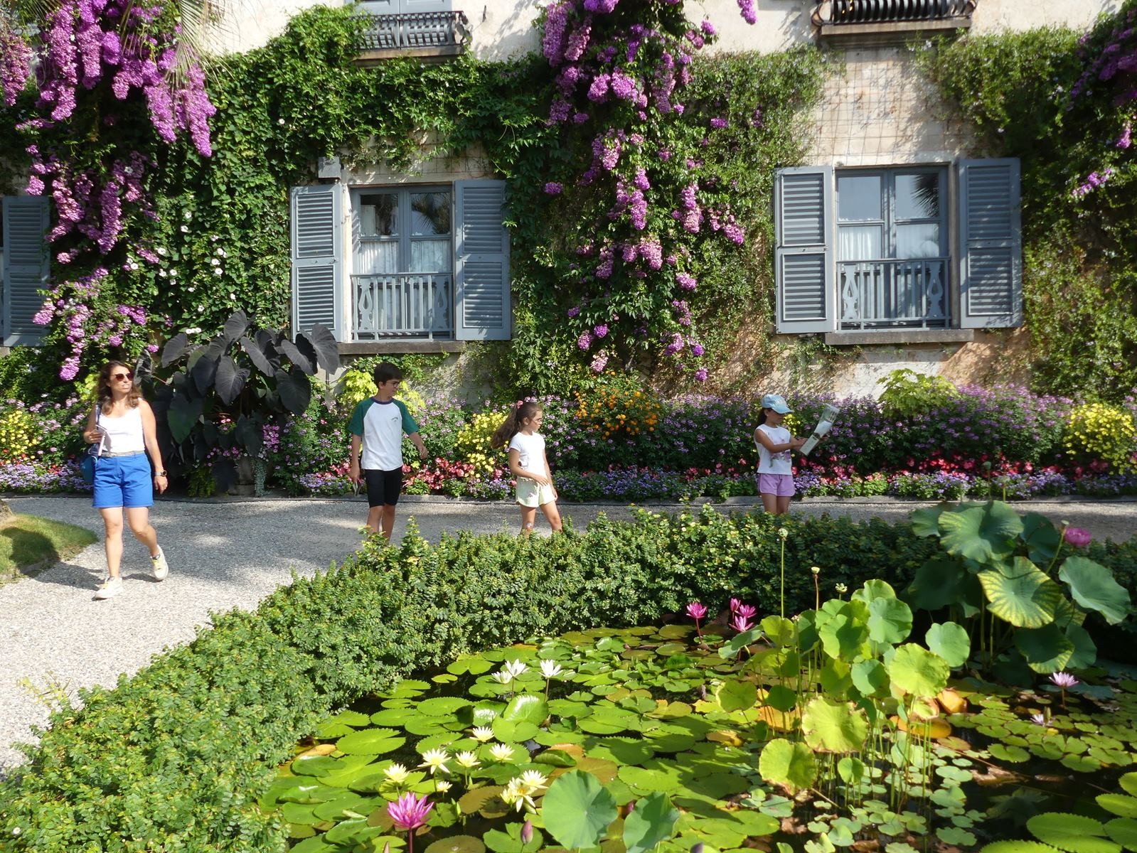 Jardin botanique d'isola Madre
