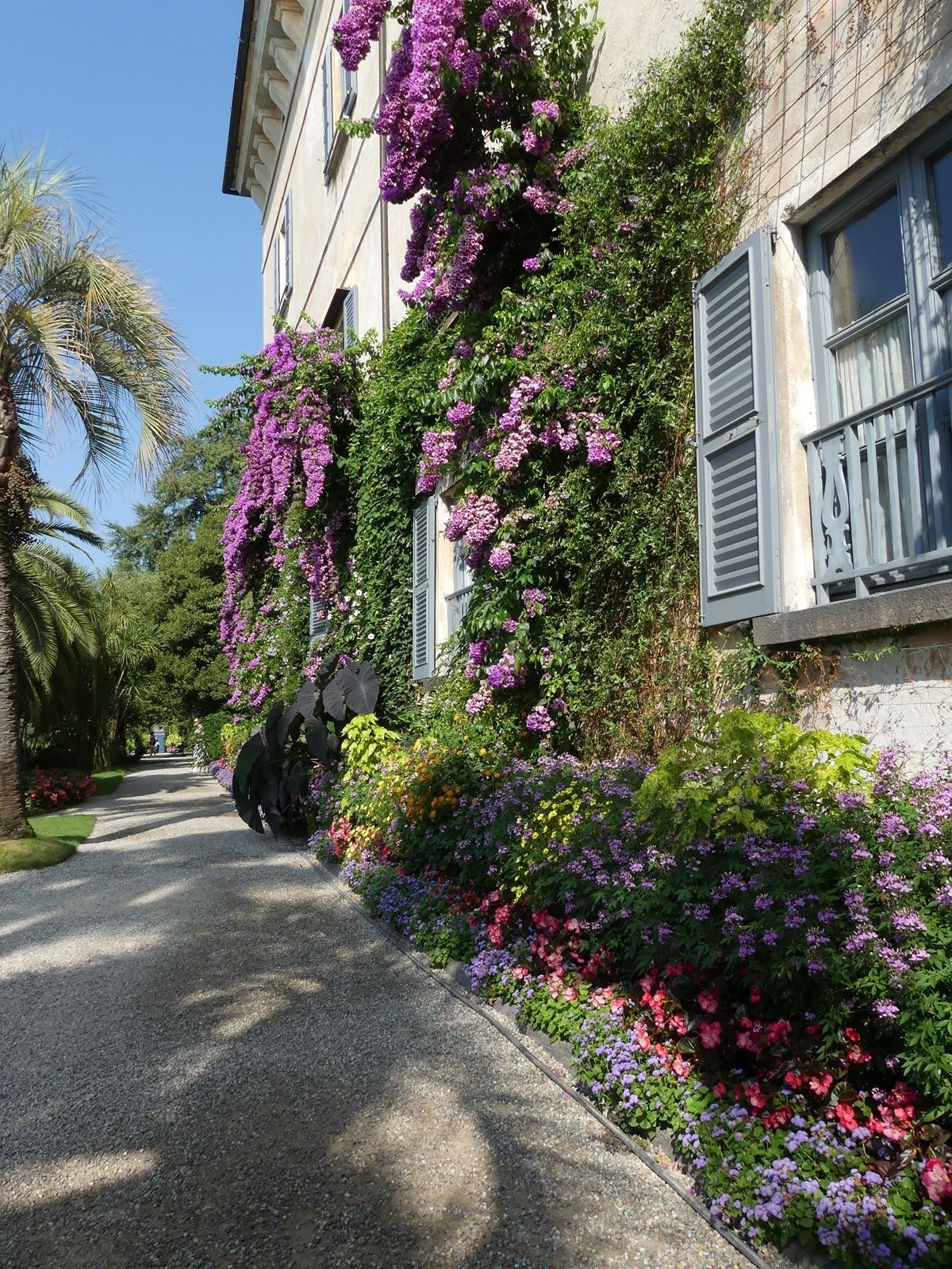 Jardin botanique d'isola Madre