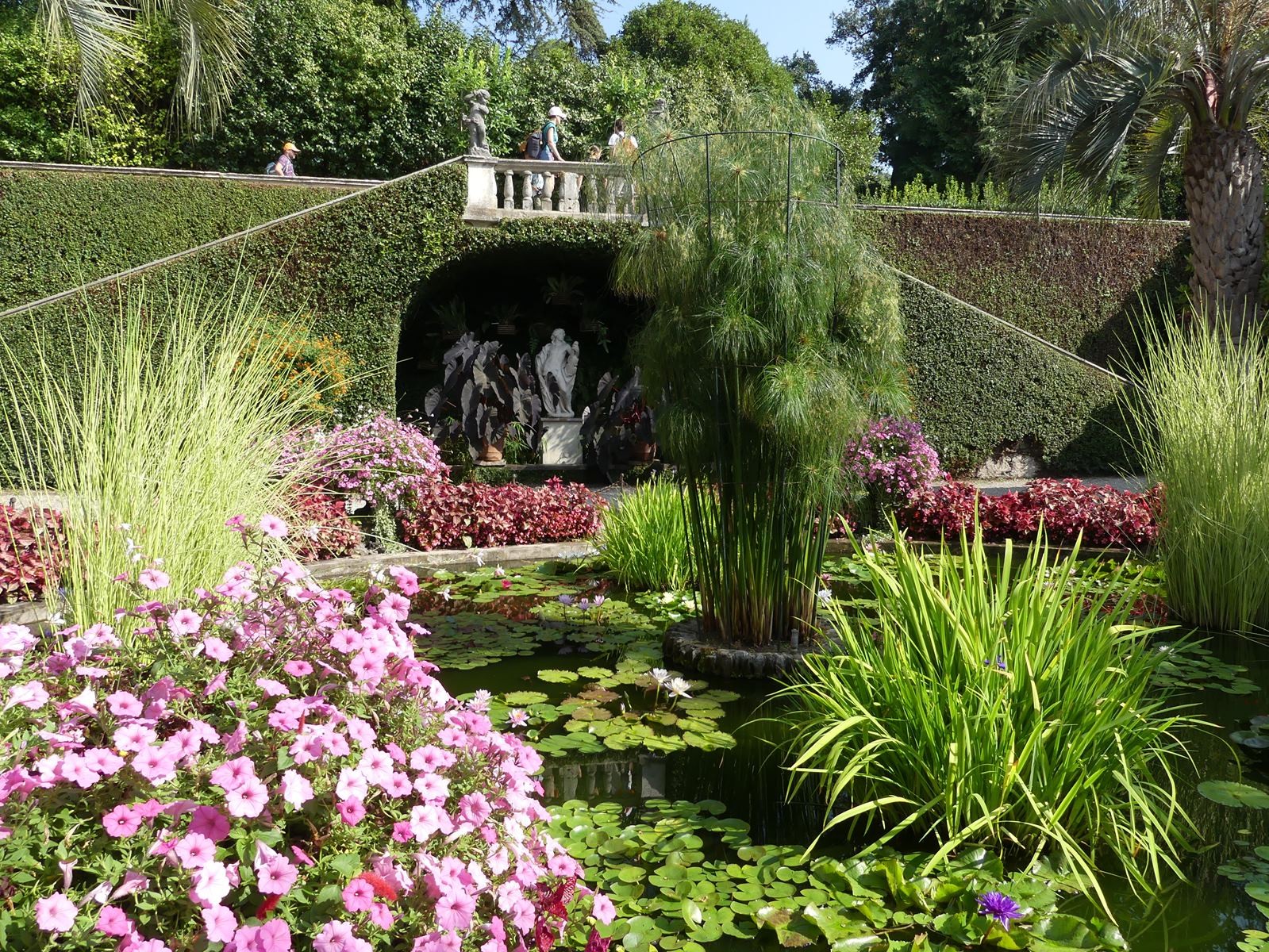Jardin botanique d'isola Madre