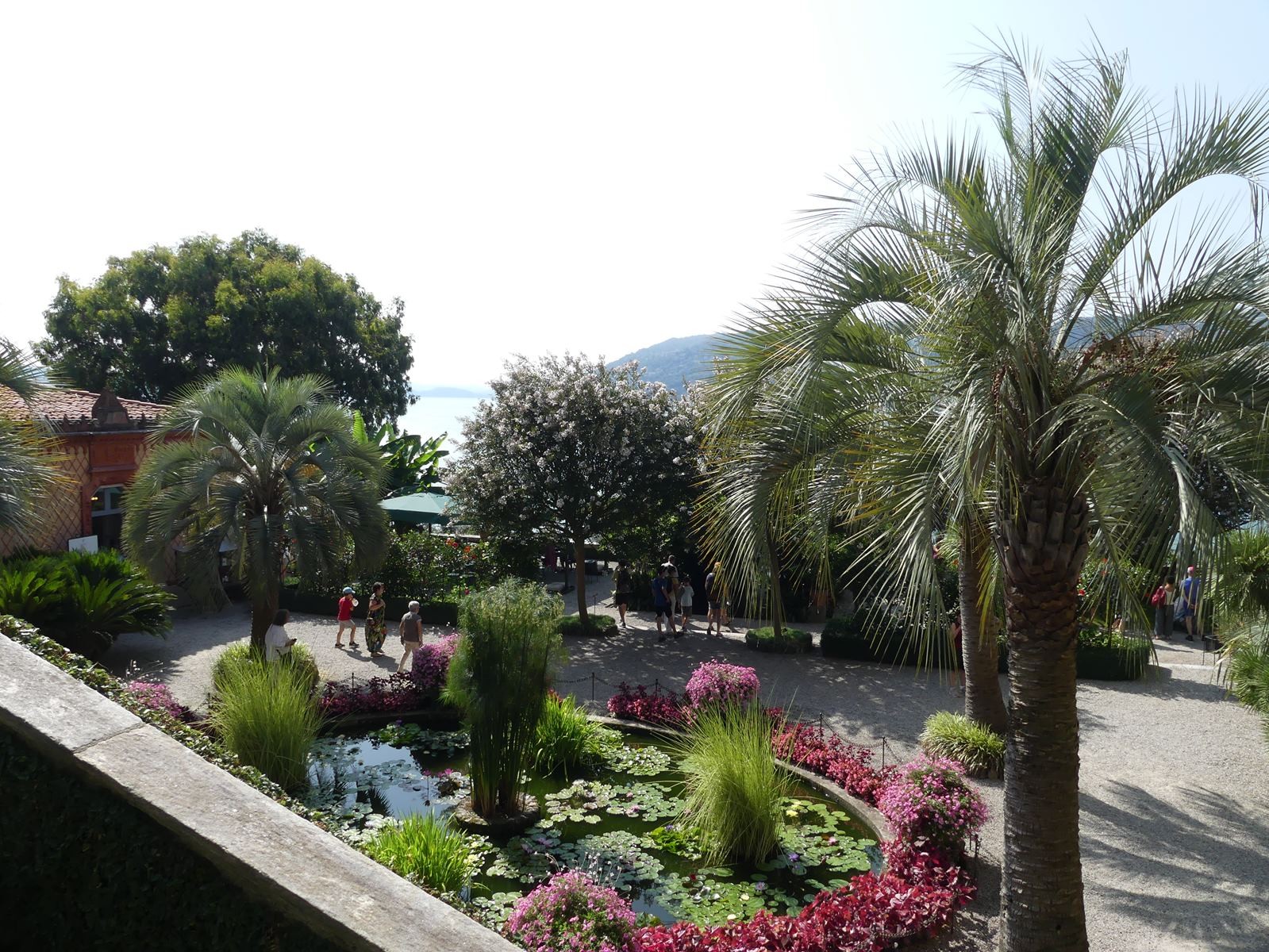 Jardin botanique d'isola Madre