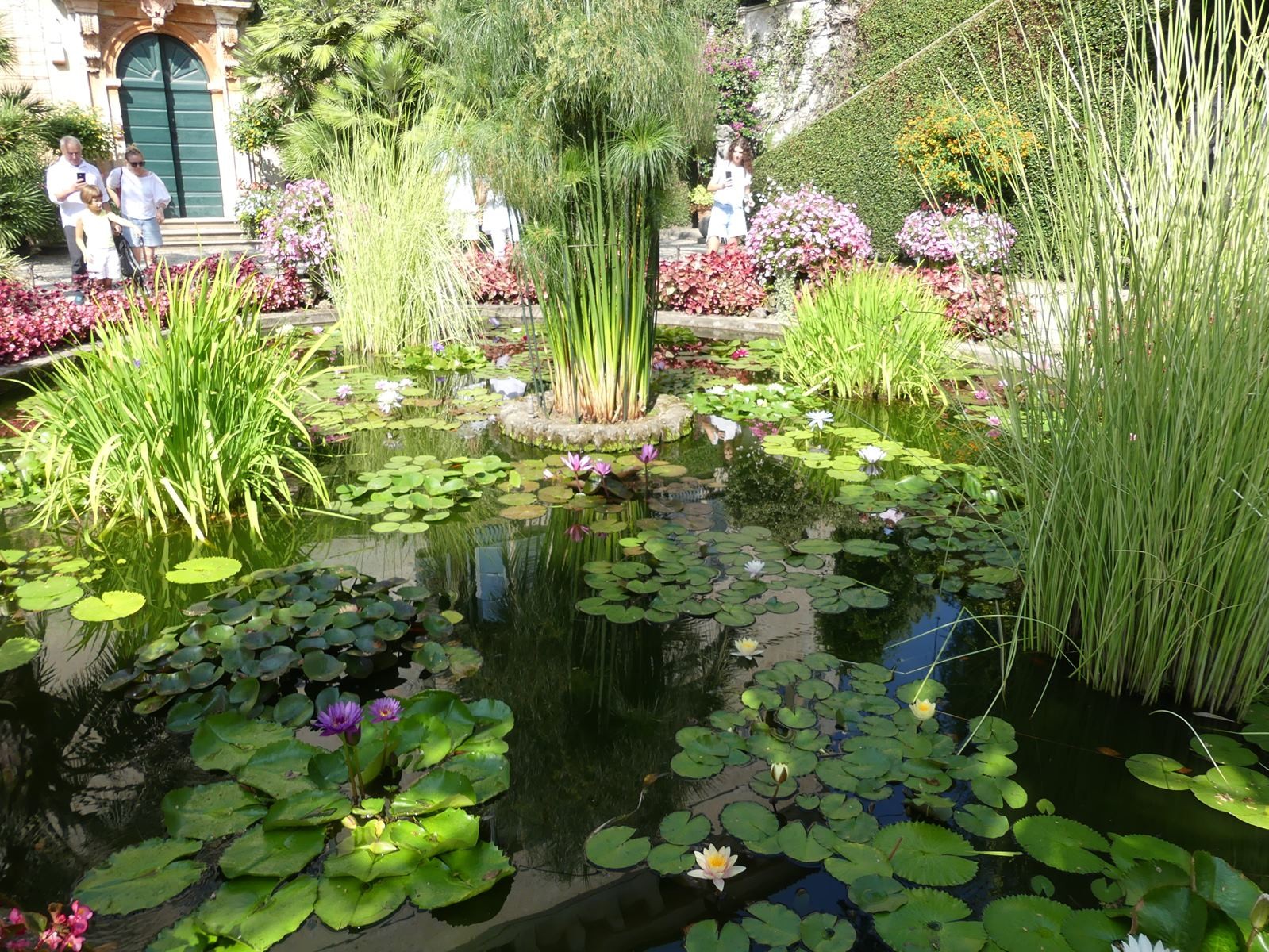 Jardin botanique d'isola Madre