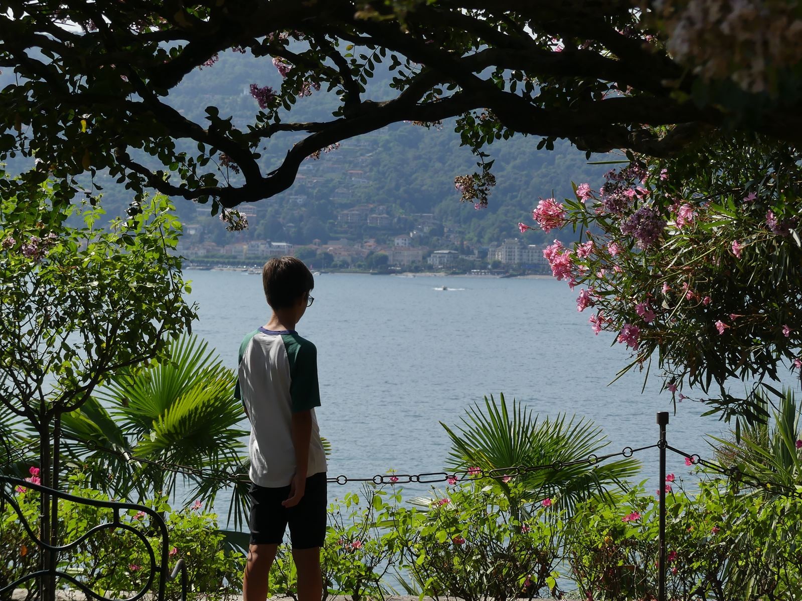 Jardin botanique d'isola Madre