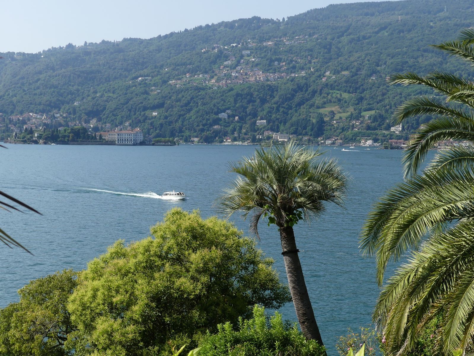 Jardin botanique d'isola Madre