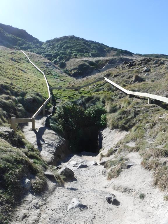 Tunnel Beach 